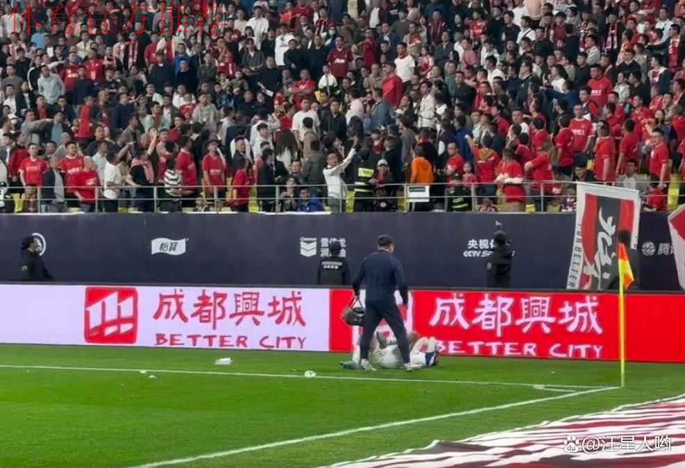 净化赛场环境  拒绝球场暴力——成都足协严肃处理成超联赛暴力事件